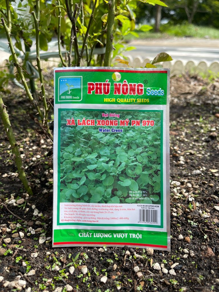 Hạt giống xà lách xoong Mỹ PN970
