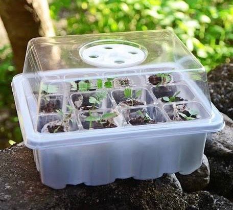 Khay ươm 12 lỗ có nắp đậy kín