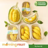  Sầu riêng Musang King 