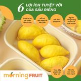  Sầu riêng Musang King 