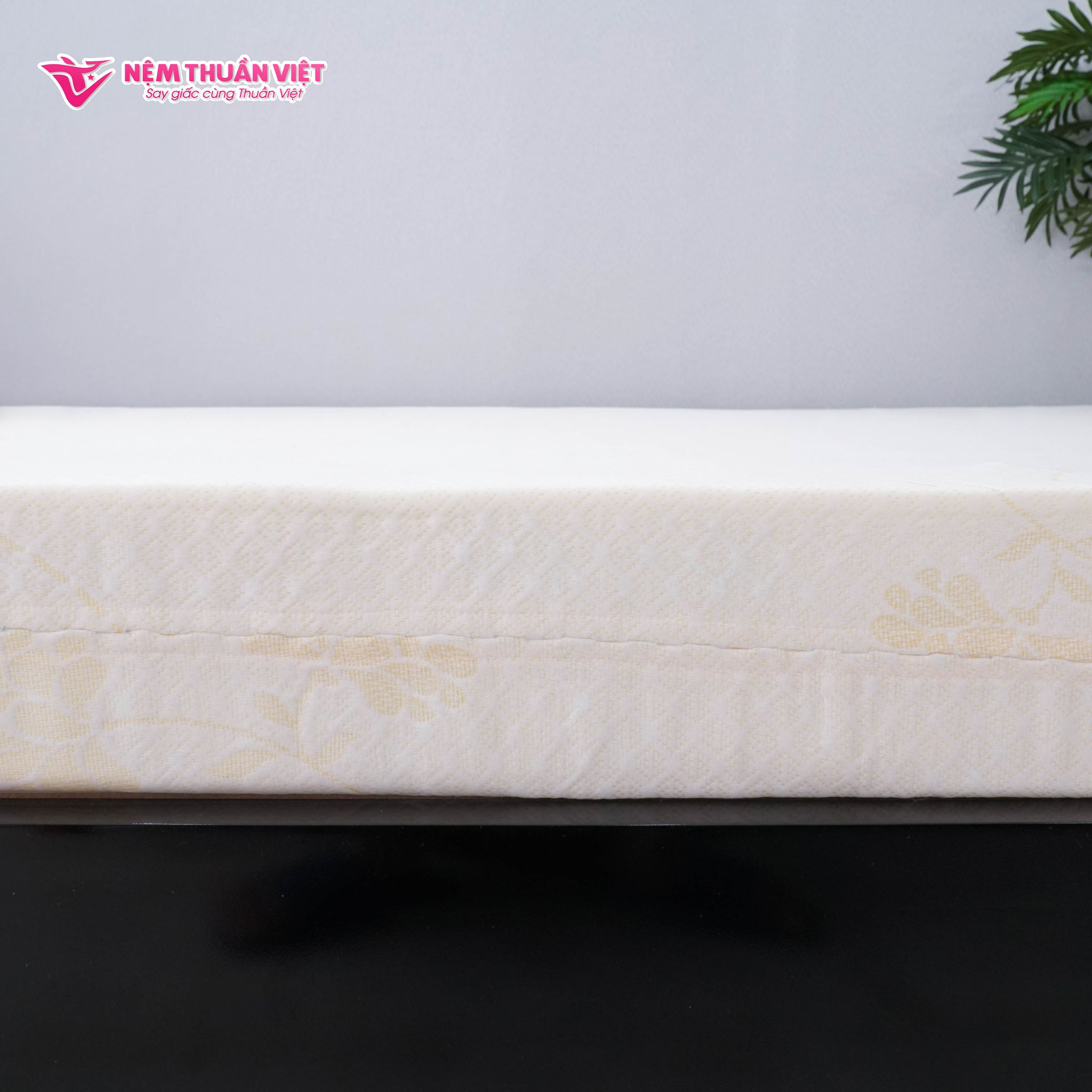  Nệm Foam Thuần Việt Premium 