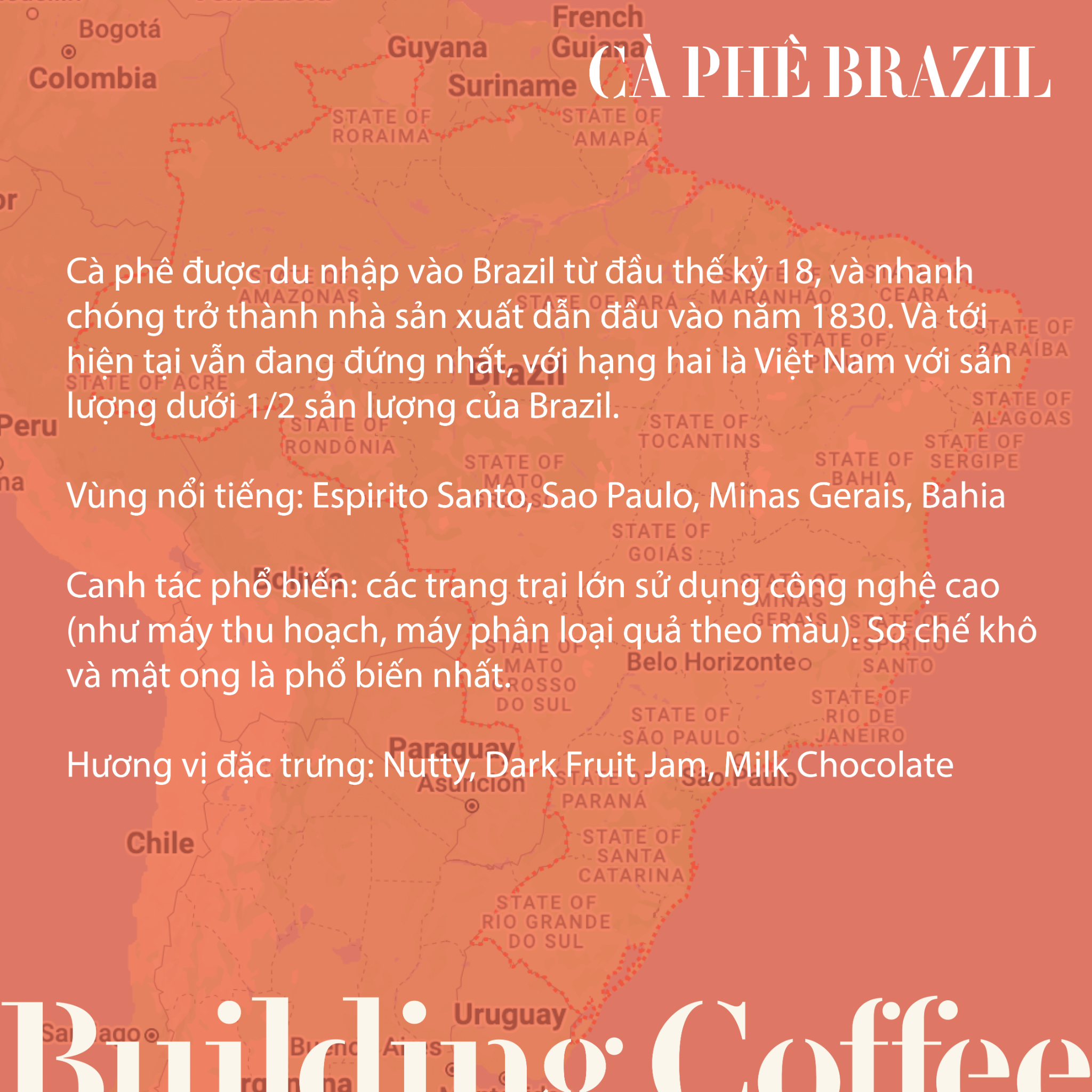 BRAZIL Cerrado (250g)