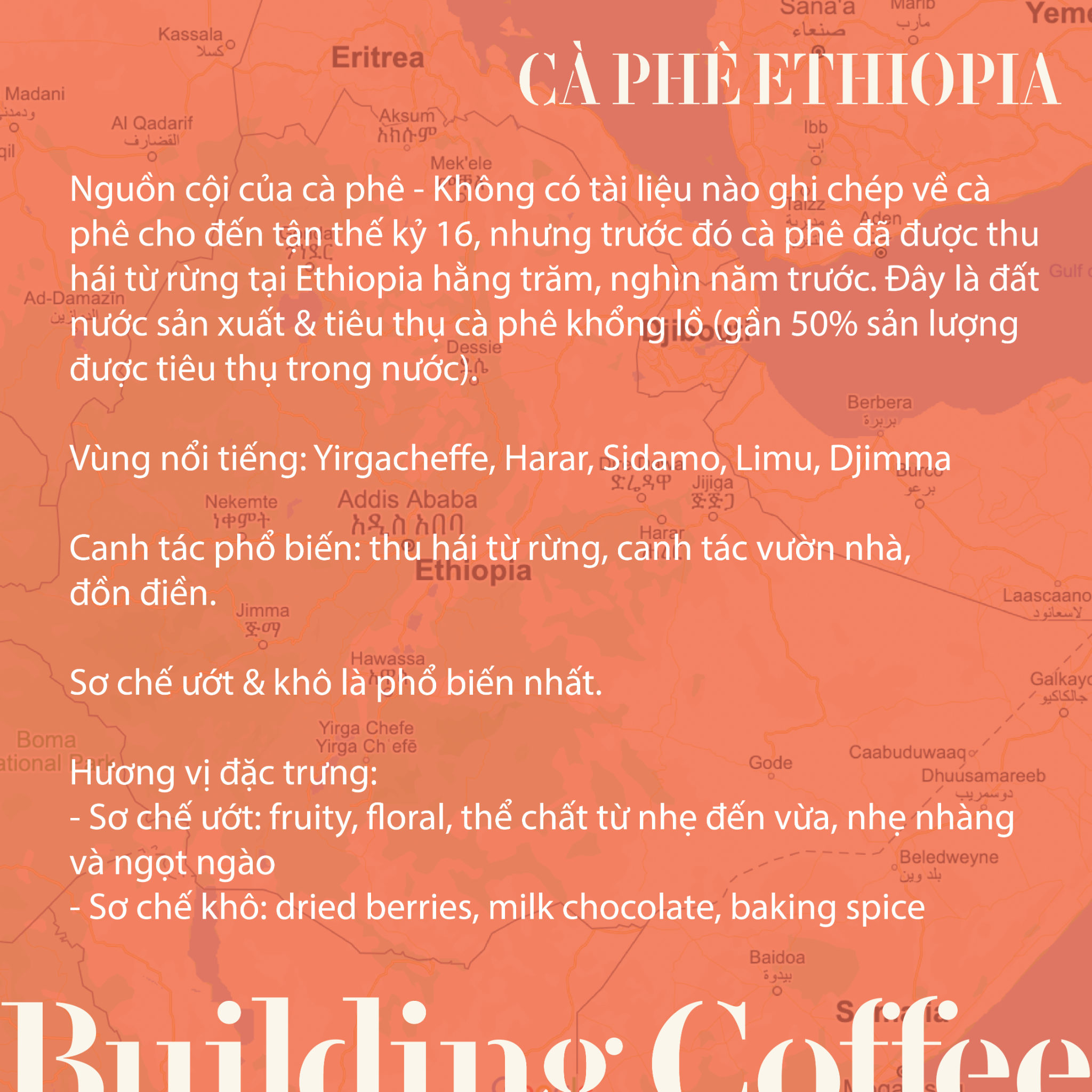  ETHIOPIA Classic Yirgacheffe (250g) 