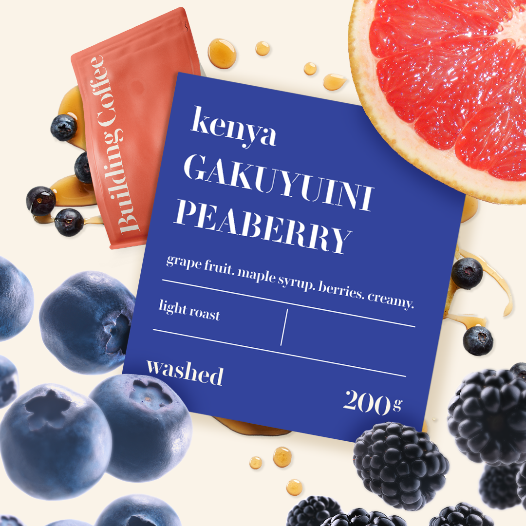  KENYA Gakuyuini Peaberry (200g) 