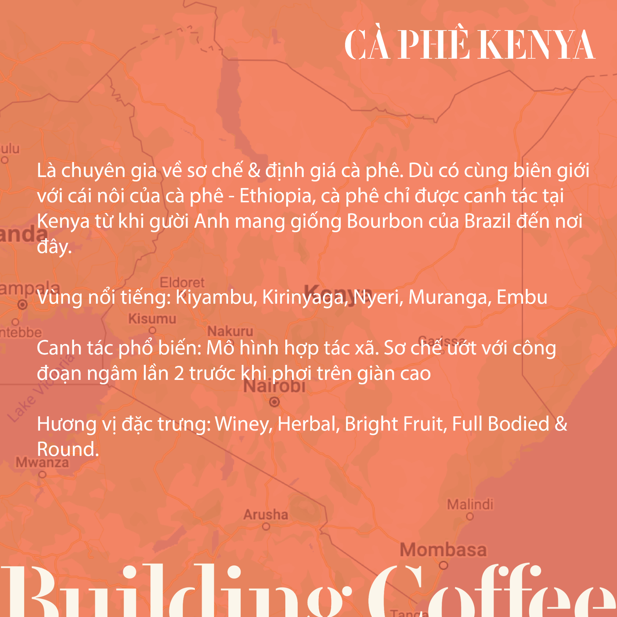  KENYA Gakuyuini Peaberry (200g) 