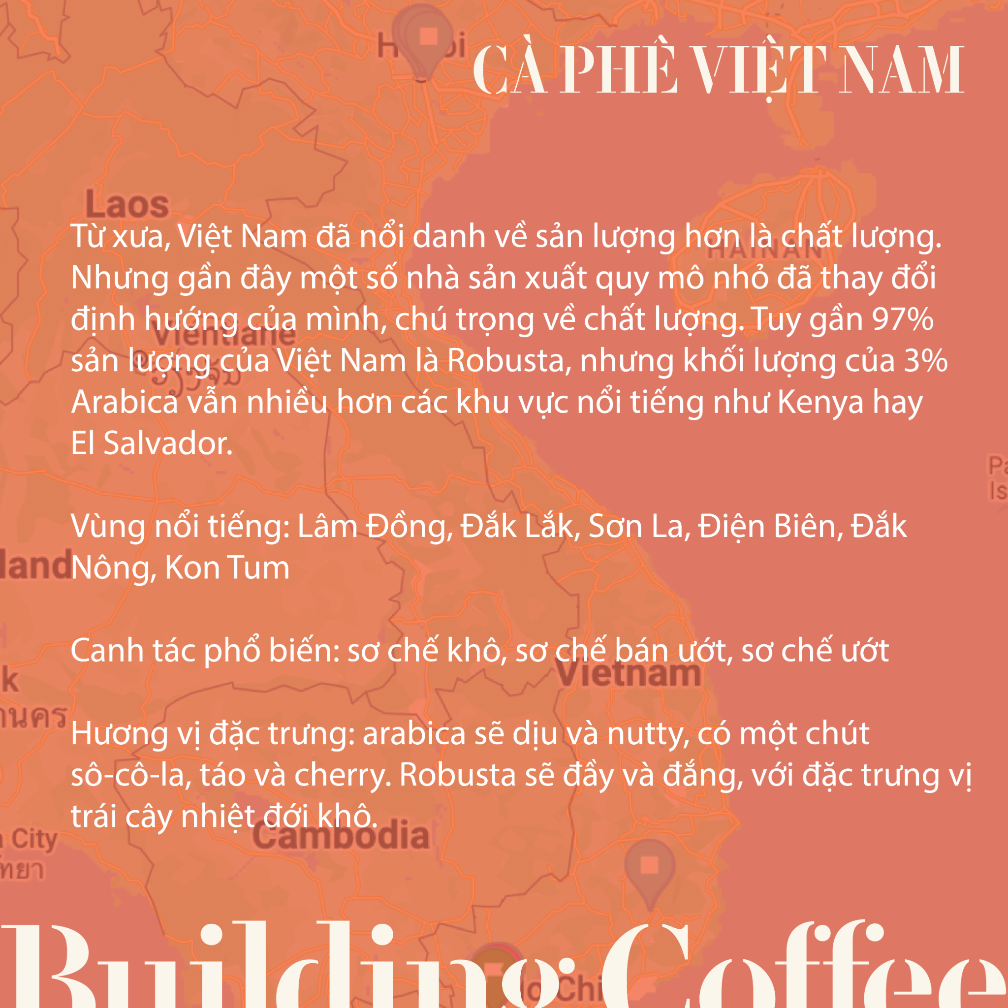 LỘC RỪNG Dung K’No Village (Anaerobic Washed) (250g)