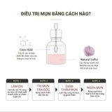  Combo 3 bước giảm mụn The Plant Base 