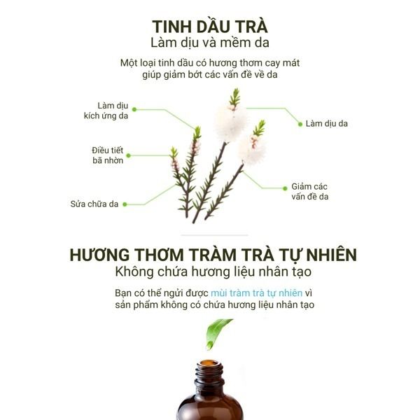  Combo 2 bước giảm mụn The Plant Base 