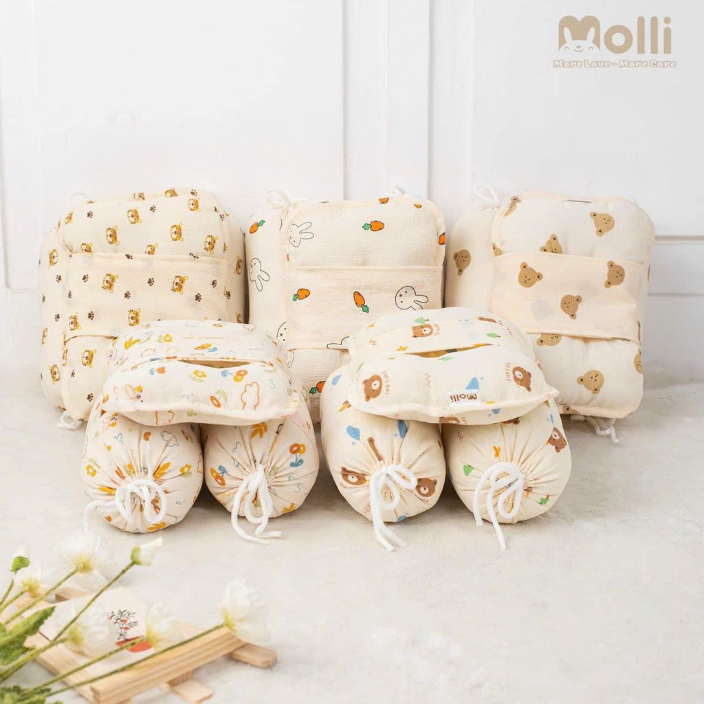 Bộ gối chặn bông Molli