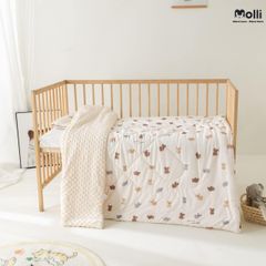 Chăn bông 2 lớp hạt đậu Molli