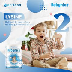 Sữa Babynice 900g