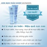  Kem mụn thảo dược 100G xóa sạch mụn bọc, mụn mủ,dậu đen đậu trắng,....... 