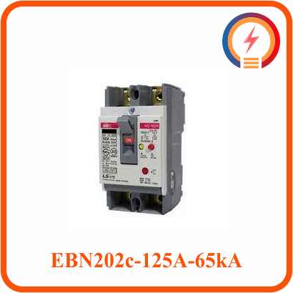  Cầu Dao ELCB 2P Chống Rò Điện 125A 65KA EBN202c 