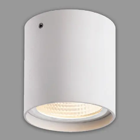 Đèn Downlight lắp nổi 12W 3000K Ra90 BE40 IP54