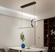 Đèn Thả Decor Hiện Đại 9619