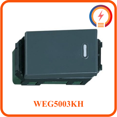  Công tắc đơn 2 tiếp điểm WEG5003KH 