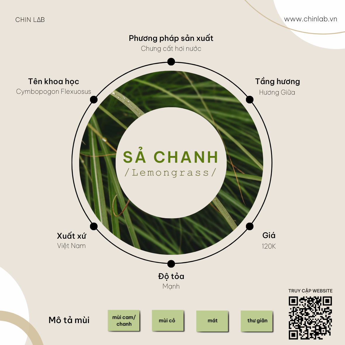 Sả Chanh