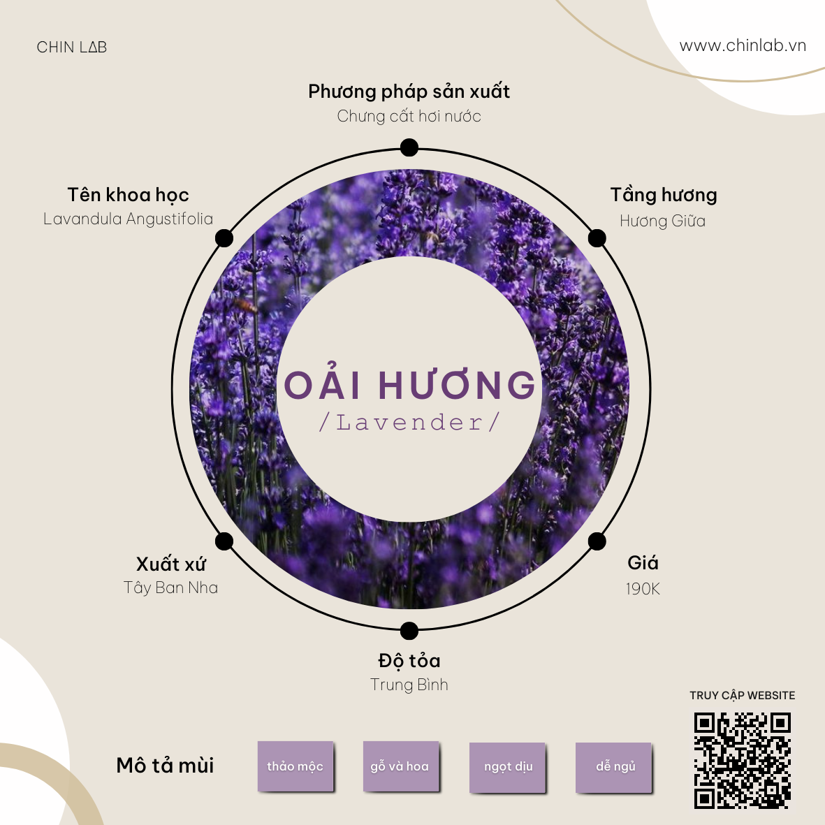 Oải Hương
