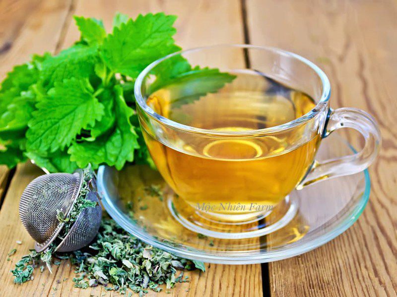 Bạc hà chanh (Lemon balm)