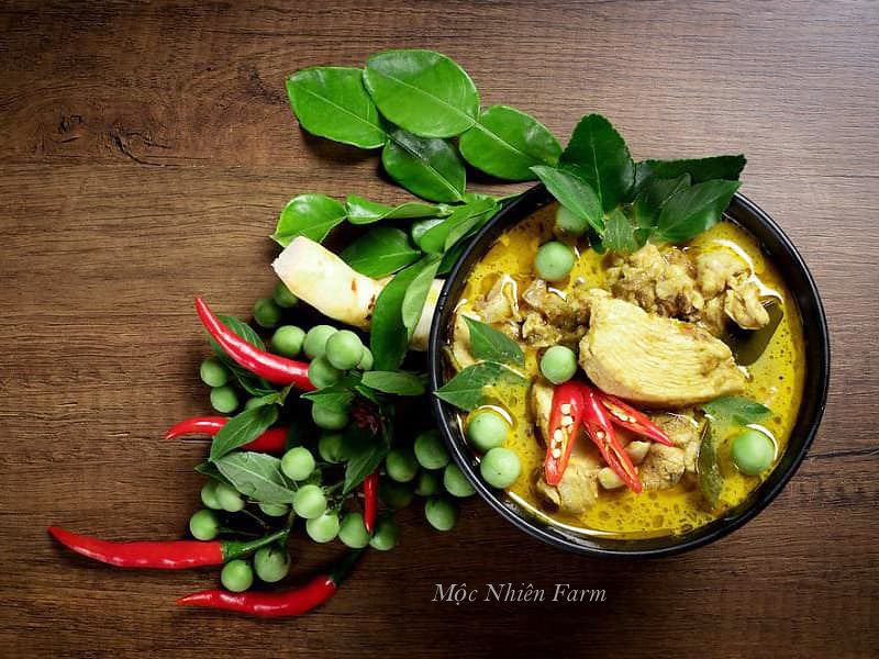 Cây chúc (chanh Thái)