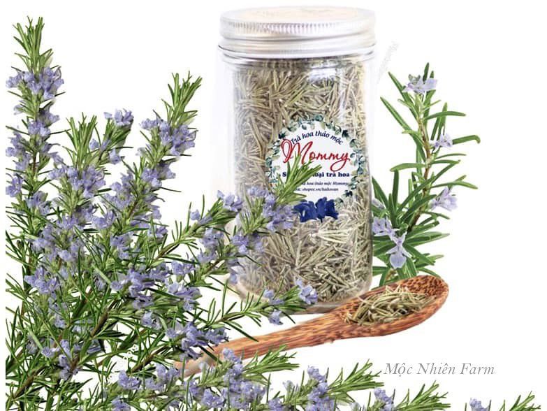 Cây hương thảo (Rosemary)