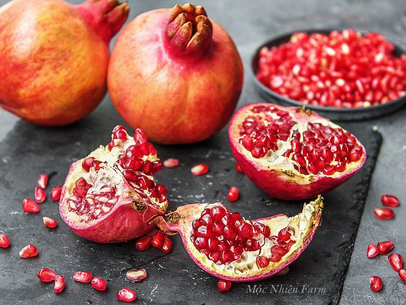 Cây lựu đỏ Ấn Độ