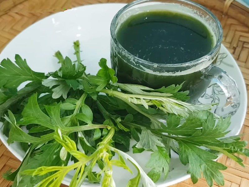Cây ngải cứu