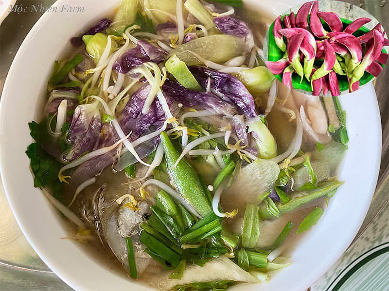 Cây so đũa Thái hoa đỏ A1