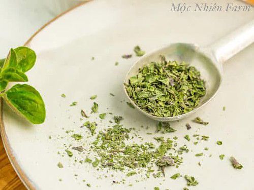  Kinh giới dại (Oregano) 