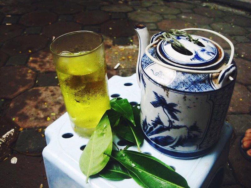 Lá vối nếp