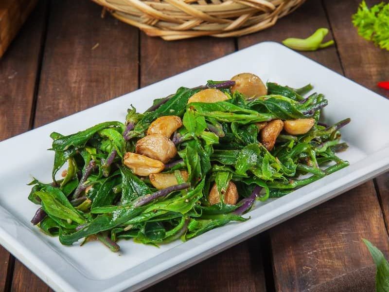 Rau bầu đất tím A1