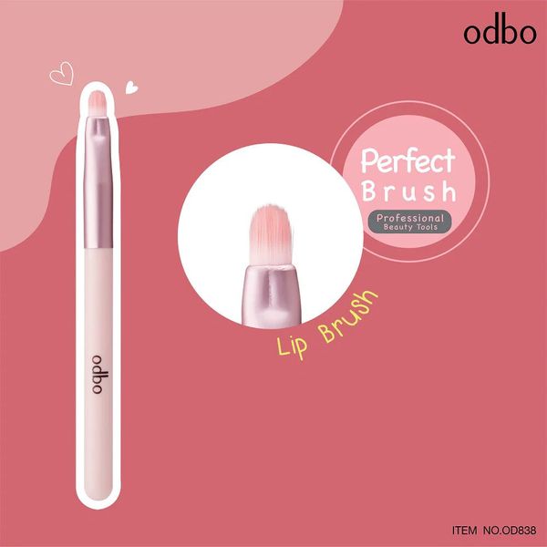 BỘ CỌ TRANG ĐIỂM 4 CÂY ODBO PERFECT BRUSH OD838