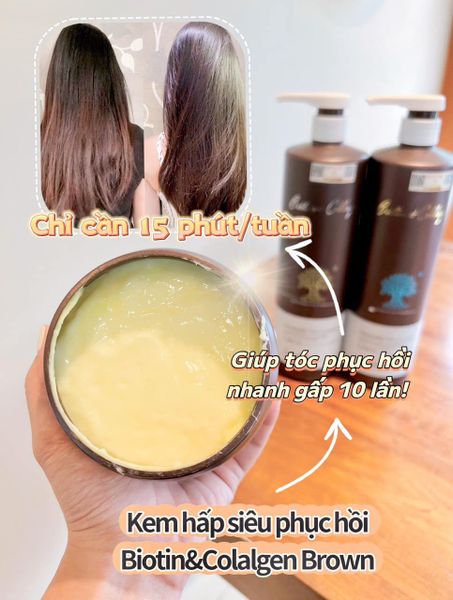 Ủ TÓC BIOTIN HỖ TRỢ PHỤC HỒI SIÊU CẤP & THẢI ĐỘC DA ĐẦU 500ML