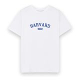  Áo Thun 100% Cotton - Harvard 