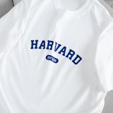  Áo Thun 100% Cotton - Harvard 