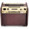  Fishman Loudbox Mini 