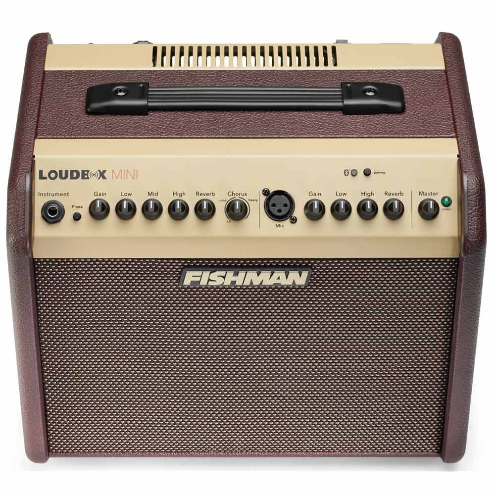  Fishman Loudbox Mini 