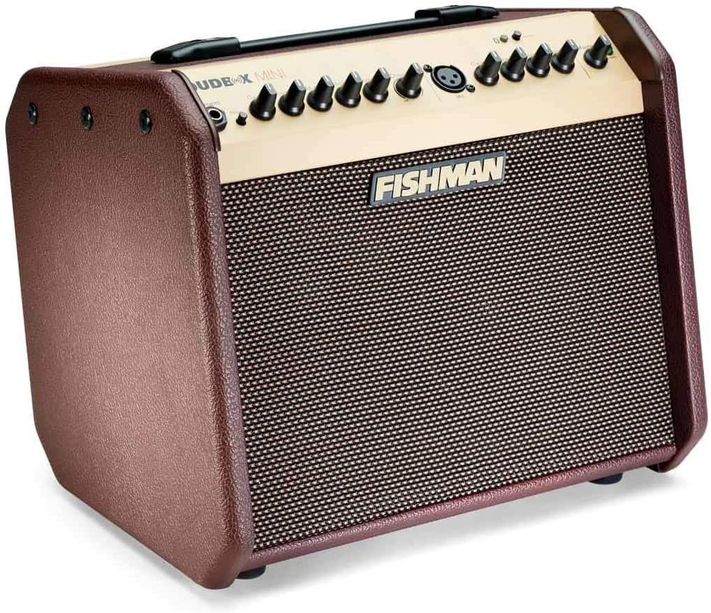  Fishman Loudbox Mini 