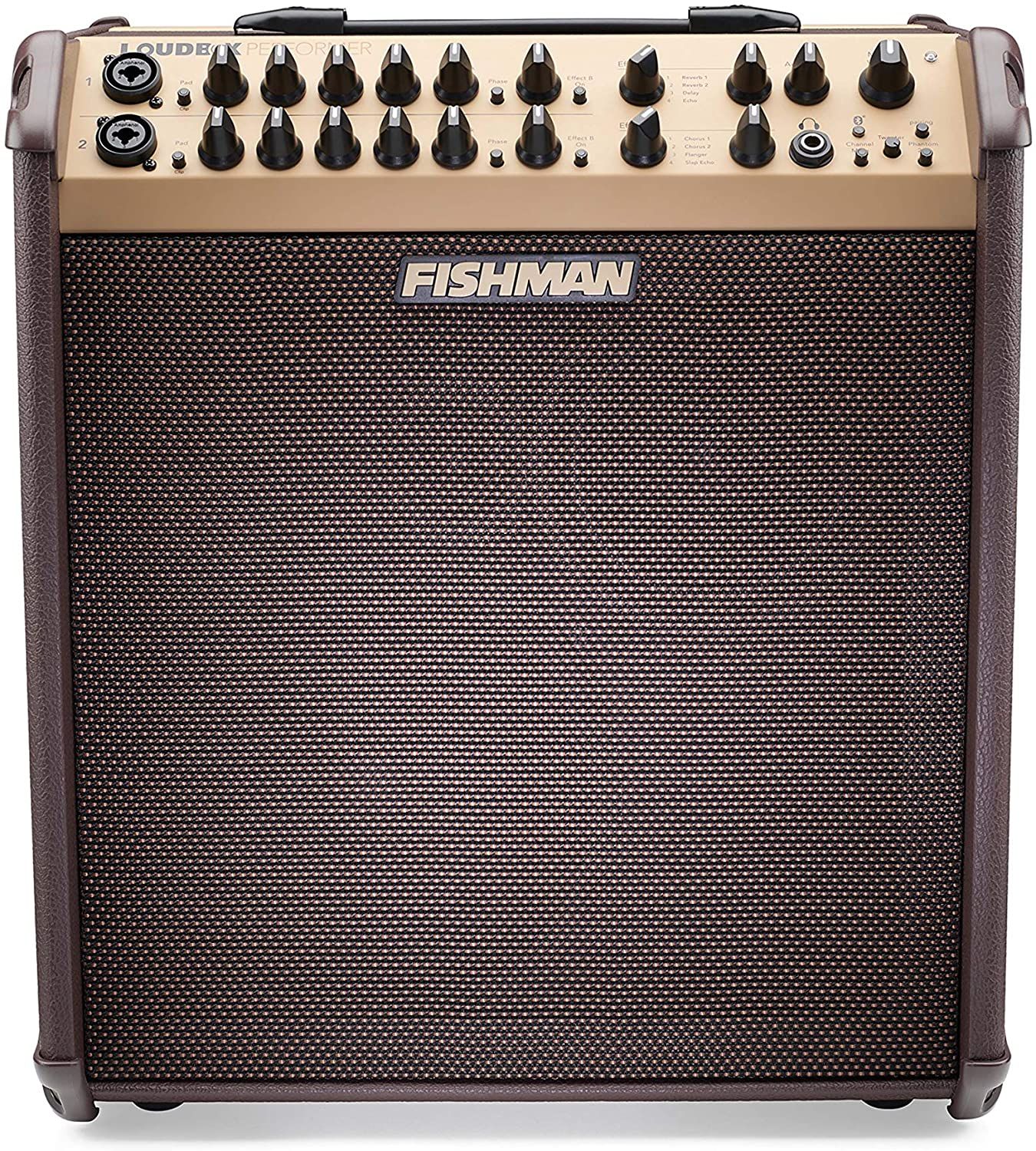  Fishman Loudbox Performer 