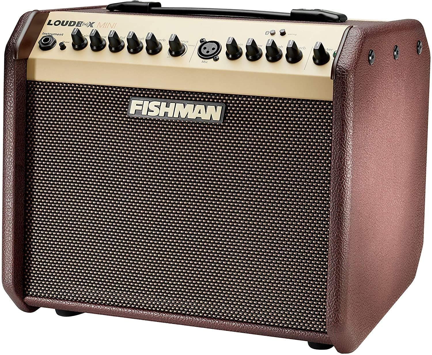  Fishman Loudbox Mini 