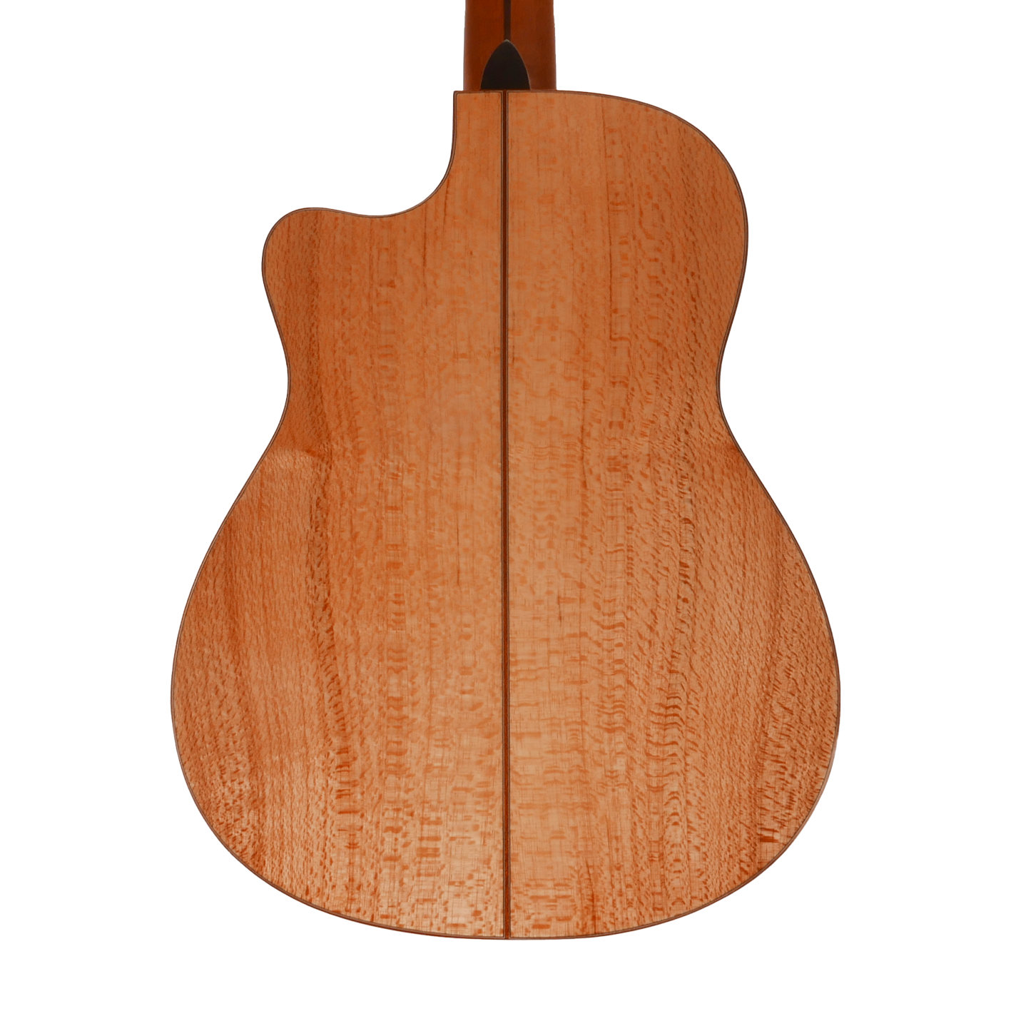 GuitarPlus Classic NS3 Thinline