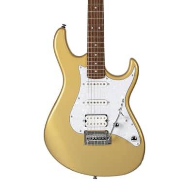  Guitar điện Cort G250 Champagne Gold Metallic 