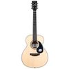  Guitar Acoustic Saga GS600 