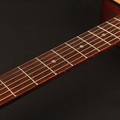 Cort Acoustic AF 505 OP