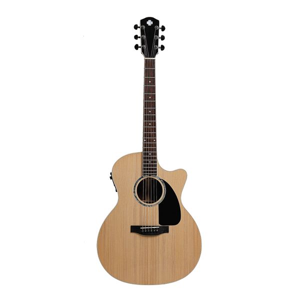 Guitar Plus F0 Performer AC