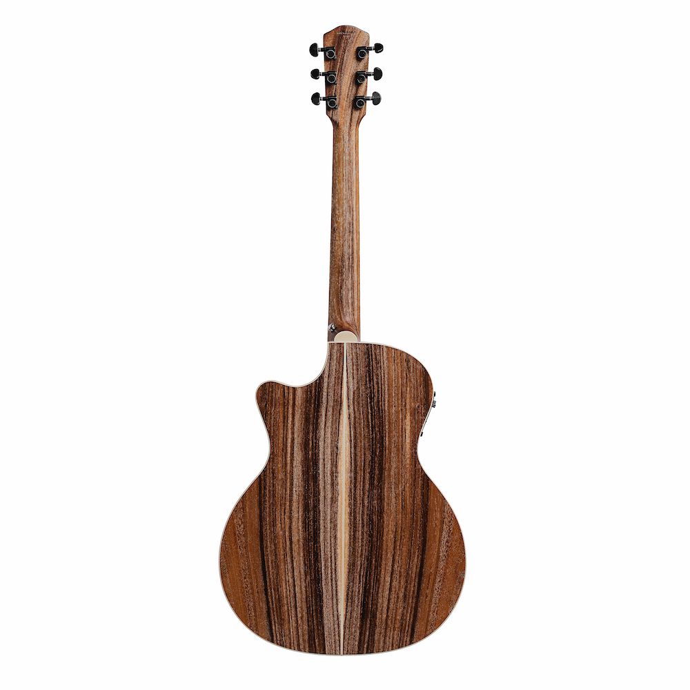 Guitar Plus F0 Performer AC