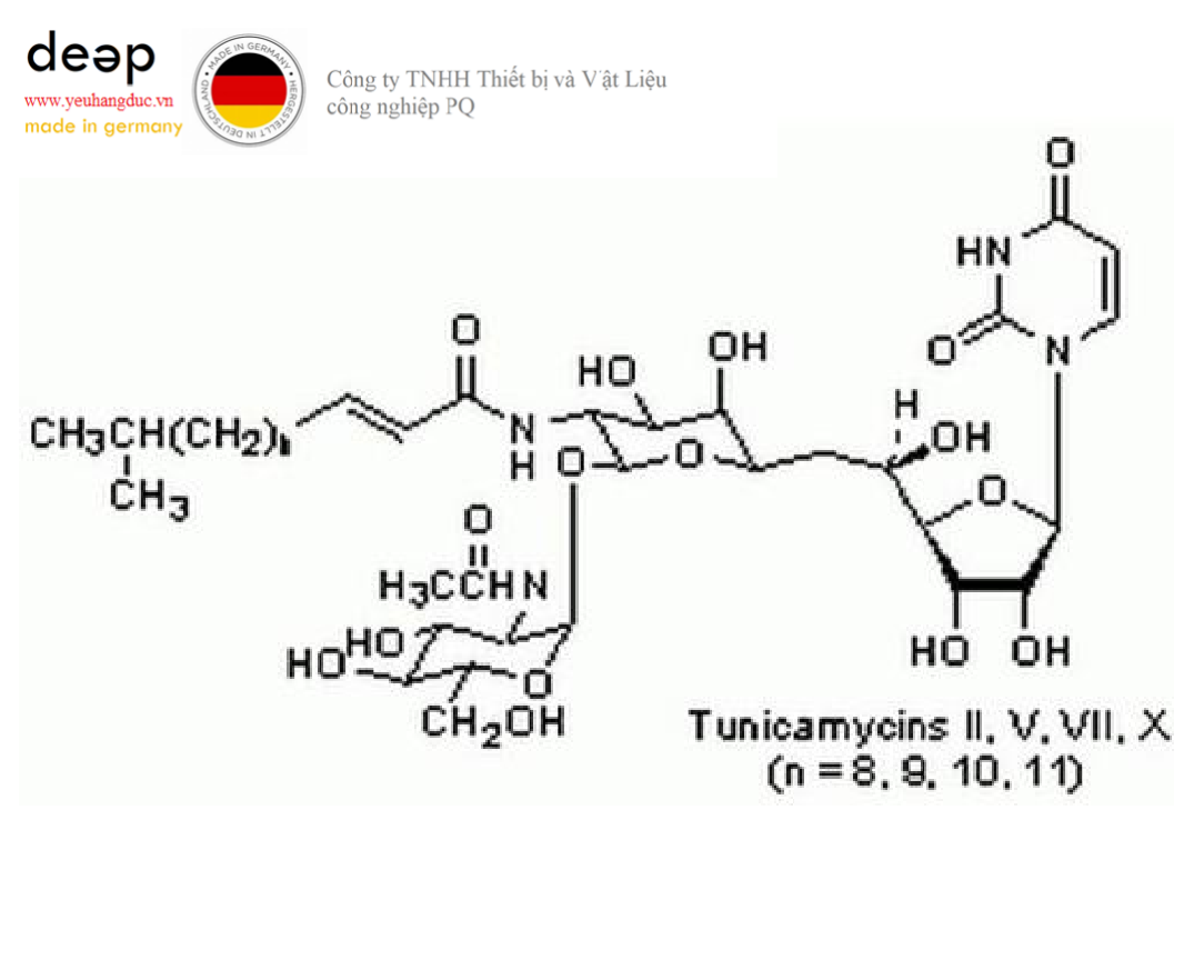Hóa chất Tunicamycin, Streptomyces lysosuperficus Merck 654380-50MG (C₃₉H₆₄N₄O₁₆, Alu drum 50 mg) DEEP52 https://yeuhangduc.vn/