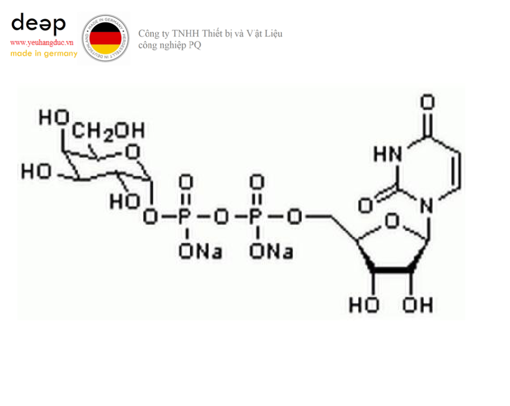 Hóa chất UDP-α-D-Galactose, Disodium Salt Merck 670111-50MG (C₁₅H₂₂N₂O₁₇P₂ · 2Na, ống nhựa 50 mg) DEEP52 https://yeuhangduc.vn/