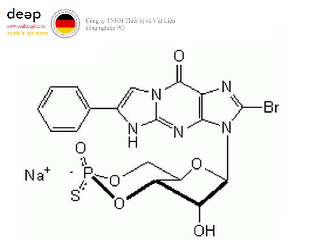 Hóa chất Guanosine 3ʹ,5ʹ-cyclic Monophosphorothioate, β-Phenyl-1,N²-etheno-8-bromo-, Rp-Isomer, Sodium Salt Merck 370679-1UMOL (C₁₈H₁₄BrN₅O₆PS · Na, ống nhựa 1 umol) DEEP52 https://yeuhangduc.vn/