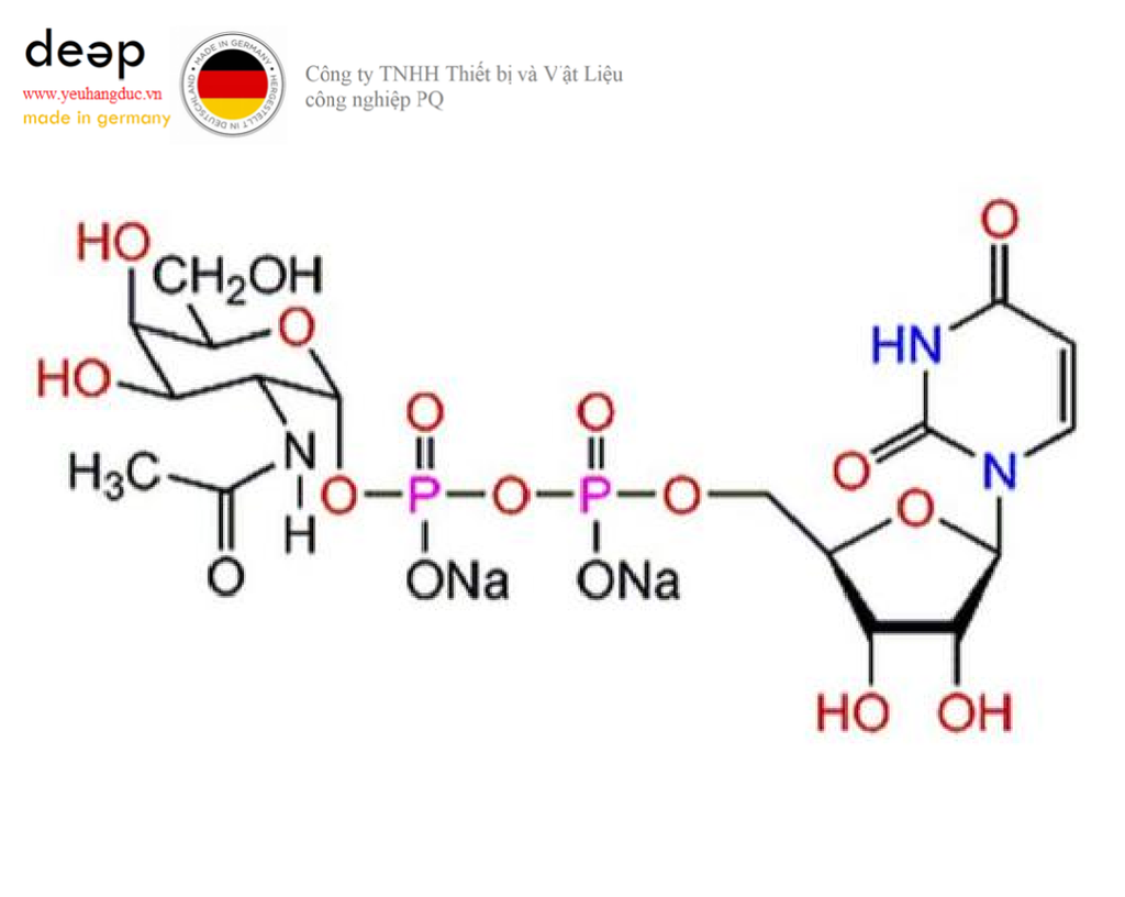 Hóa chất UDP-α-D-N-Acetylgalactosamine, Disodium Salt Merck 670105-5MG (C₁₇H₂₅N₃O₁₇P₂ · 2Na, ống nhựa 5mg) DEEP52 https://yeuhangduc.vn/